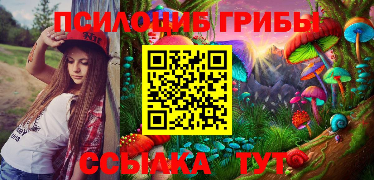 Псилоцибиновые грибы Psilocybine cubensis Гагарин